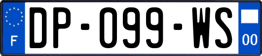 DP-099-WS