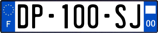 DP-100-SJ