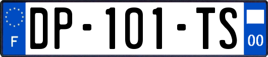 DP-101-TS