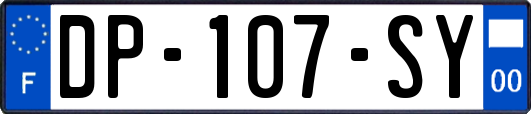DP-107-SY