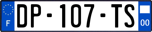DP-107-TS