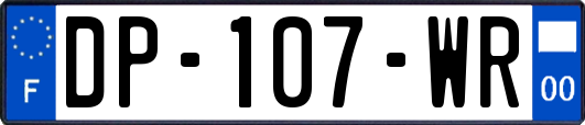 DP-107-WR