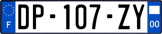 DP-107-ZY