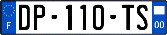 DP-110-TS