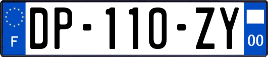 DP-110-ZY