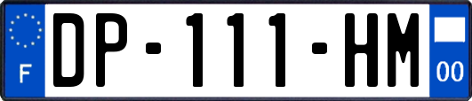 DP-111-HM