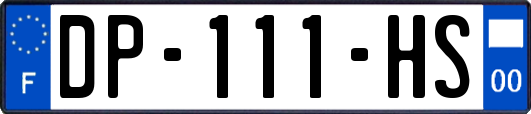 DP-111-HS