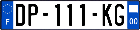 DP-111-KG