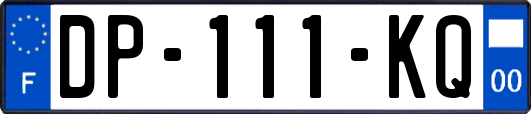 DP-111-KQ
