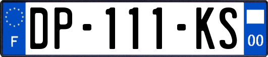 DP-111-KS