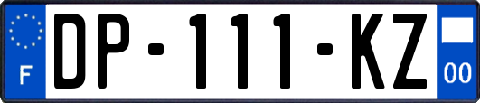 DP-111-KZ