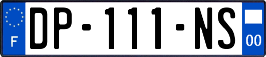 DP-111-NS