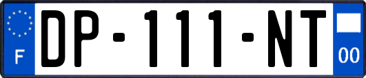 DP-111-NT