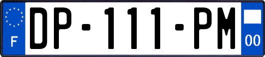 DP-111-PM