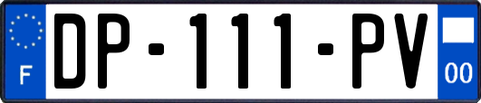 DP-111-PV