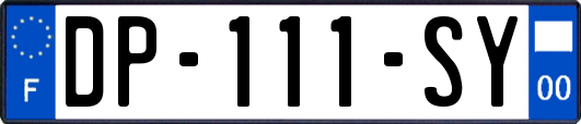 DP-111-SY
