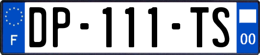 DP-111-TS