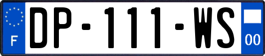 DP-111-WS