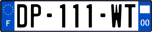 DP-111-WT