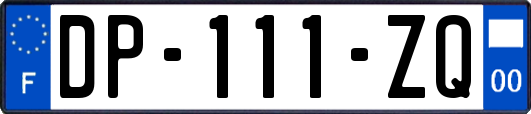 DP-111-ZQ