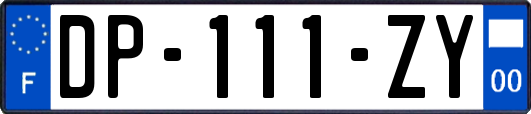 DP-111-ZY