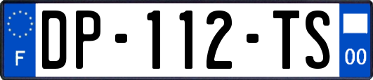 DP-112-TS