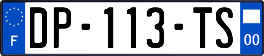 DP-113-TS