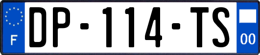 DP-114-TS