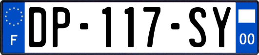 DP-117-SY