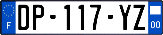 DP-117-YZ