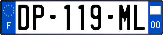 DP-119-ML
