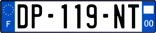 DP-119-NT