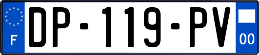 DP-119-PV