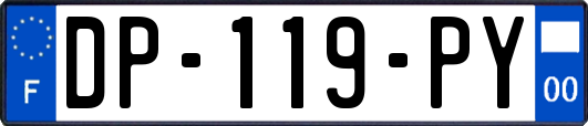 DP-119-PY