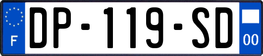 DP-119-SD