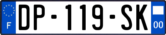 DP-119-SK