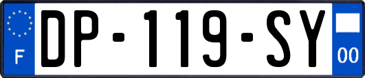 DP-119-SY
