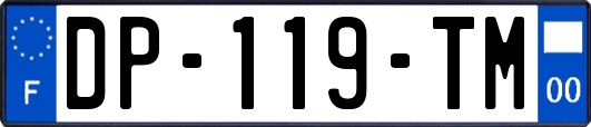 DP-119-TM