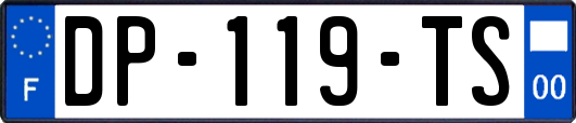 DP-119-TS