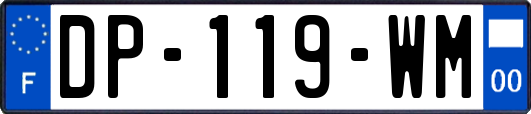 DP-119-WM