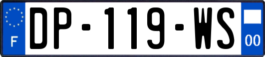 DP-119-WS