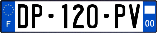 DP-120-PV