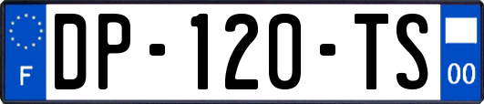 DP-120-TS