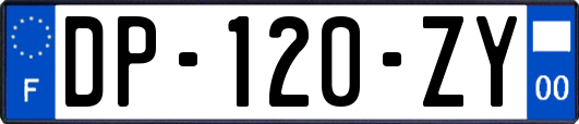 DP-120-ZY