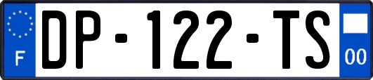 DP-122-TS