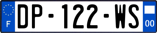 DP-122-WS