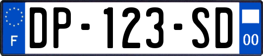 DP-123-SD
