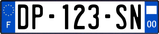 DP-123-SN