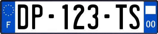 DP-123-TS