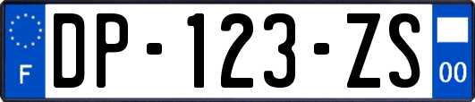 DP-123-ZS